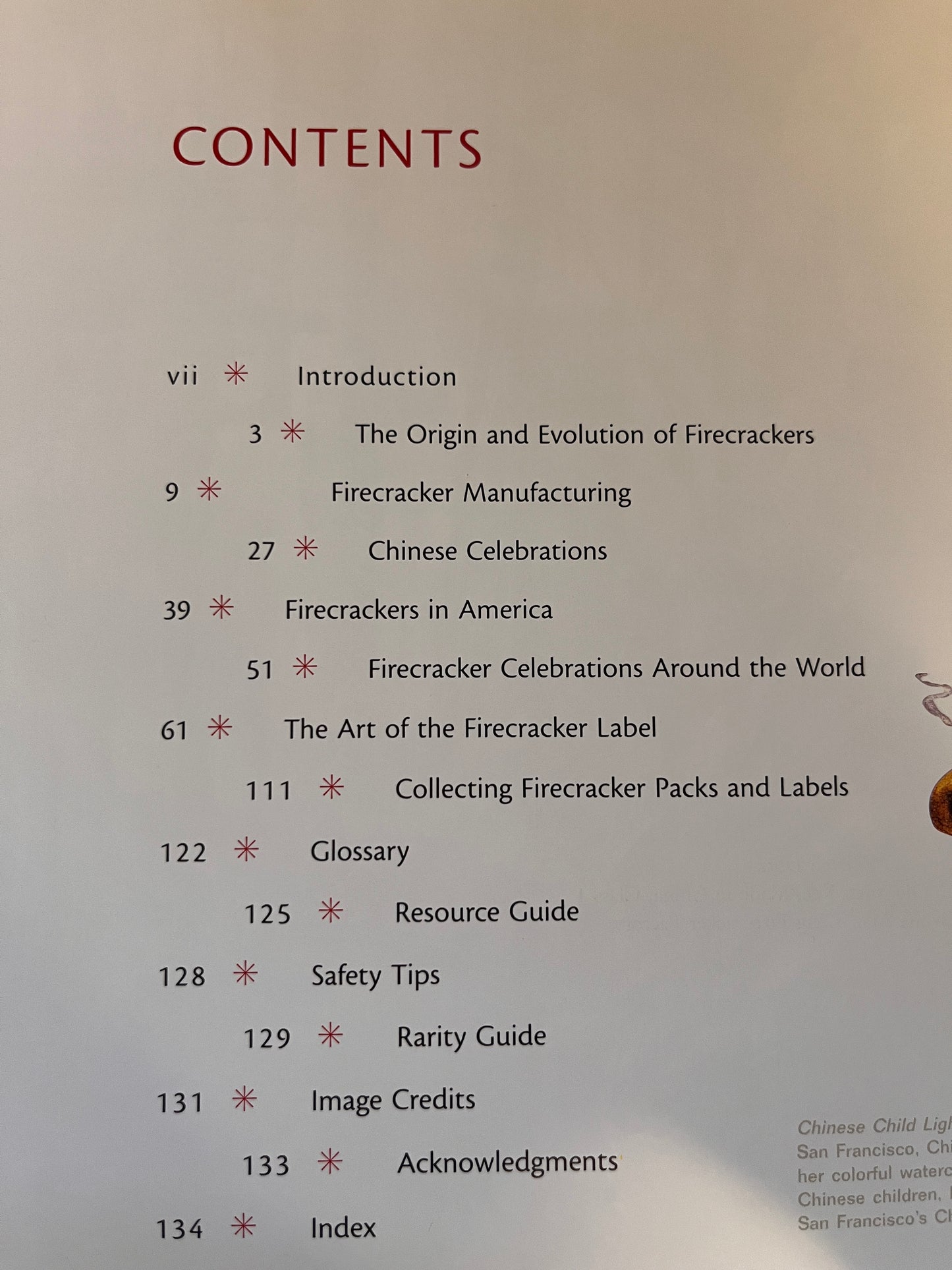 Firecrackers The Art + The History Book