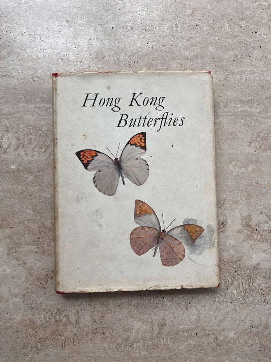 Hong Kong Butterflies