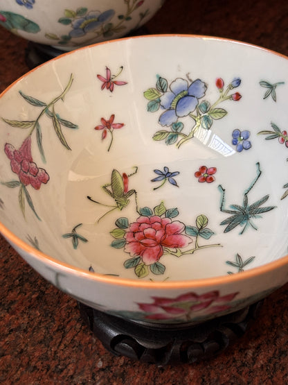 Bowls with Butterflies and Crickets